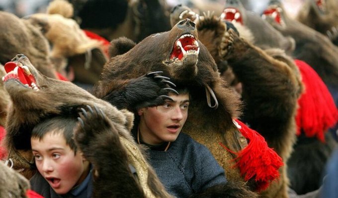 Зачем румыны наряжаются в шкуры медведей и танцуют на улицах (7 фото + 1 видео)