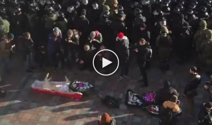 В Киеве к зданию Верховной Рады принесли свинью в гробу