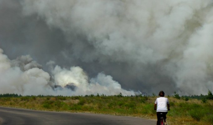 Лесные пожары на востоке Украины (8 фото)