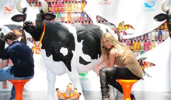 Кейт Аптон доит корову (8 Фото)