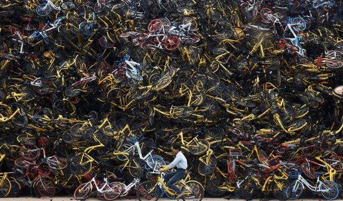 Побочный эффект: как велосипеды наводнили Китай (30 фото)