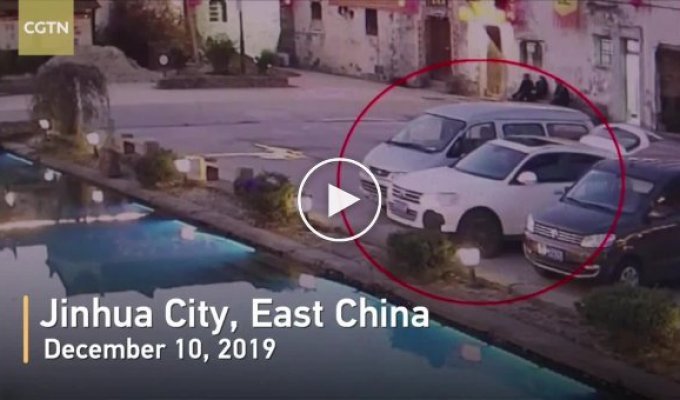 В Китае собака утопила хозяйский автомобиль в пруду
