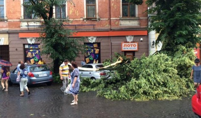 В Ужгороде ураган с корнями вырывал деревья