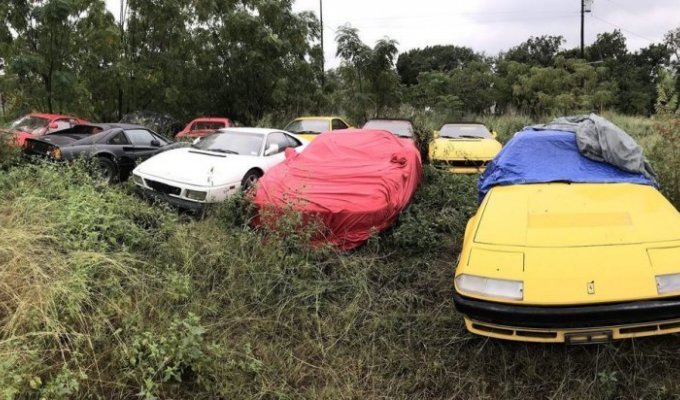 Частную коллекцию суперкаров Ferrari оставили гнить в поле (27 фото)
