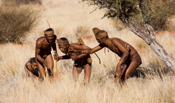 Намибия. Племя химба (18 фото)
