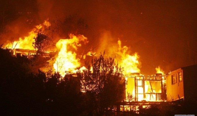Лесные пожары в Чили