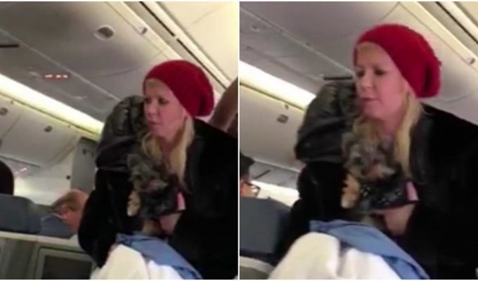 Поменяйте мне место: актрису из "Американского пирога" сняли с рейса из-за перепалки со стюардами (4 фото)