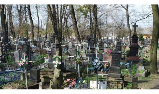 Калужский губернатор предложил запретить оградки на кладбище (3 фото)