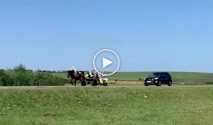 В Башкирии Тойота Авенсис сбила гужевую повозку с пассажирами