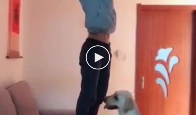 Собака помогает китайцу починить лампу