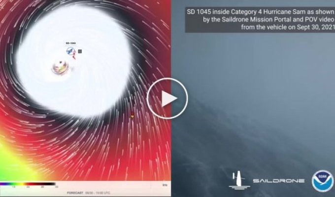Ученые впервые сняли видео из сердца бушующего урагана