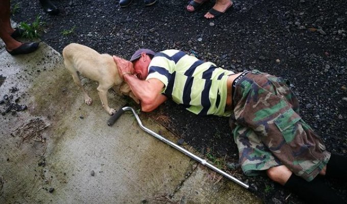 Собака спасла своего хозяина от смерти (5 фото)