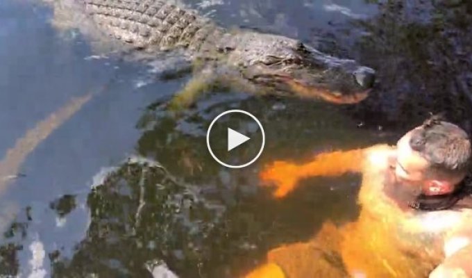 Крокодил попытался укусить мужчину во время купания в водоеме