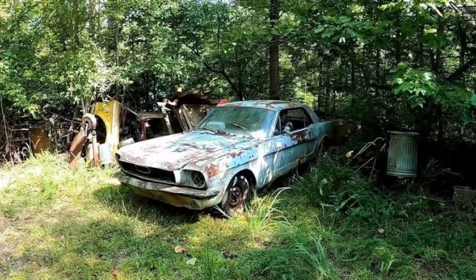 Заброшенный Ford Mustang 1966 года впервые за 30 лет самостоятельно поехал (4 фото + 1 видео)