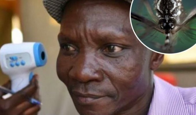 Пахучий Джо: Газы жителя Уганды убивают комаров (3 фото)