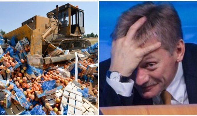 Песков объяснил, почему уничтожают санкционные продукты (3 фото)