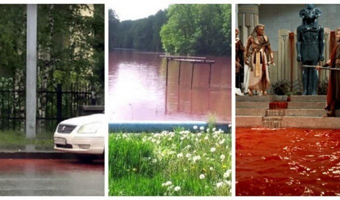 Жители одного из российских городов встревожены ручьями кровавого цвета (5 фото)