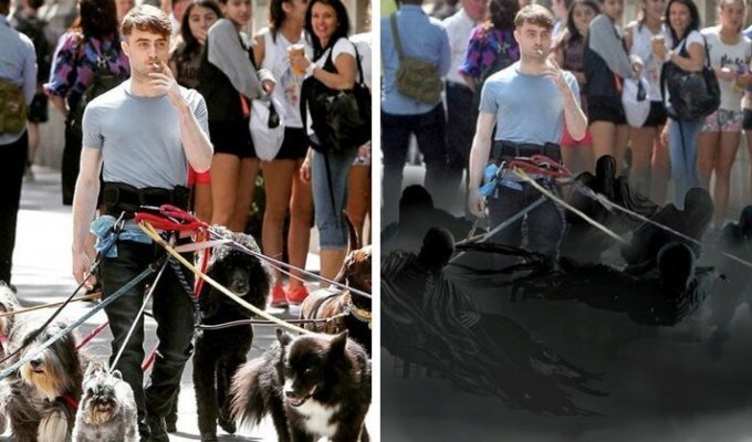 Дэниэл Рэдклифф на съёмках фильма вышел погулять с собаками и стал героем весёлой битвы фотошоперов (13 фото)