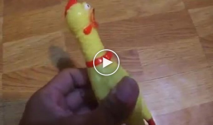 Китайские курицы игрушки