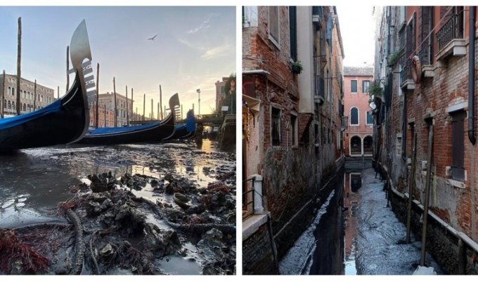 На Венецию обрушилась новая беда (11 фото)