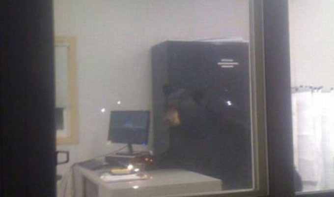 Странный работник в офисе (4 фото)