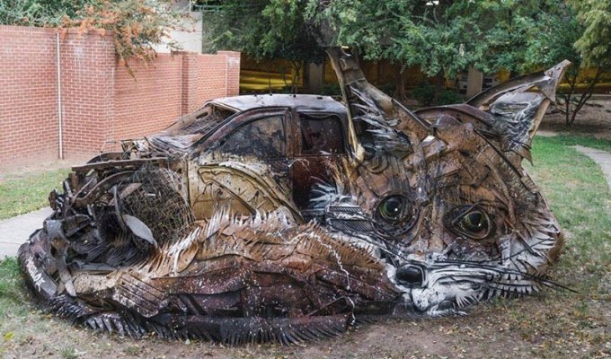 Художник создает композиции с животными, чтобы напомнить нам о загрязненности окружающей среды (28 фото)