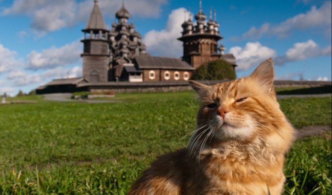 22 великолепные фотографии котов и достопримечательностей мира (22 фото)
