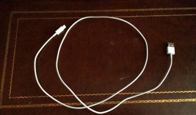 Как сделать витой кабель (6 фото)