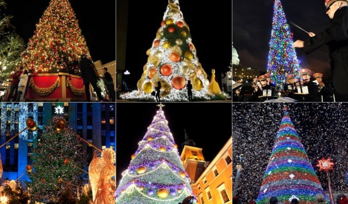 Рождественские елки со всего мира (11 фото)