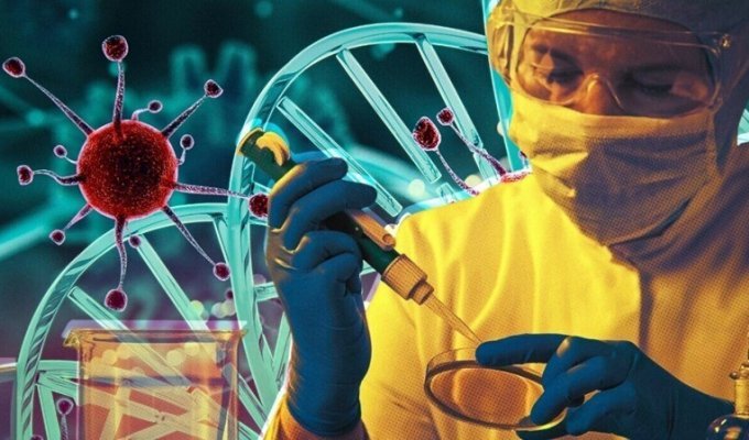 Российский штамм: ученые выявили у пациентки 18 мутаций коронавируса (4 фото)