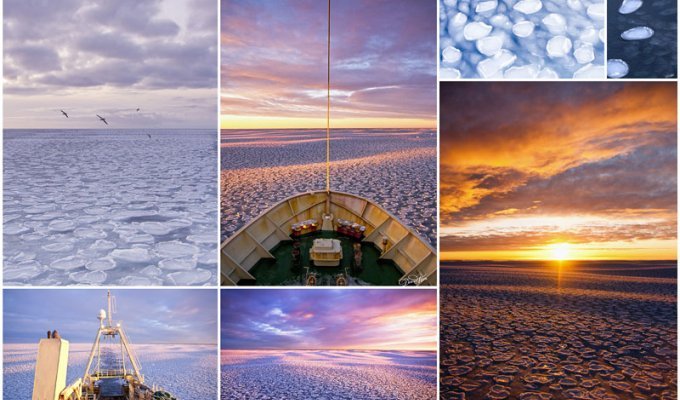 Природные красоты: Исландия во льдах (9 фото)