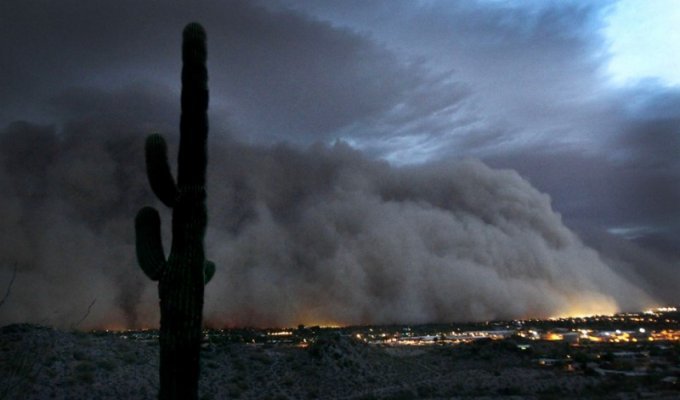 Пыльная буря накрыла города Аризоны (8 фото)