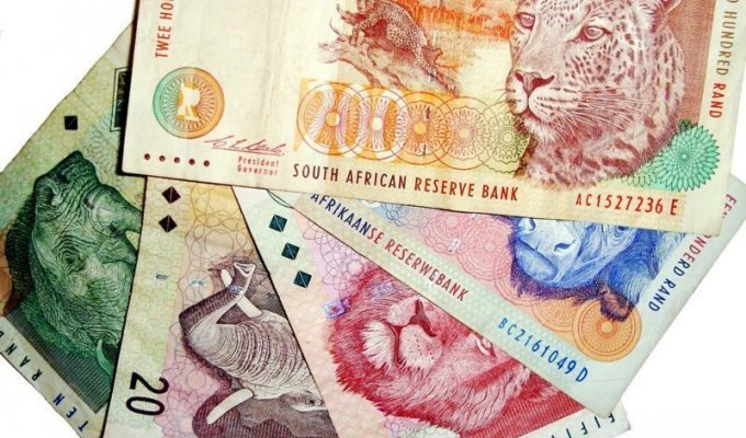 Деньги в Африке: название, история (6 фото)