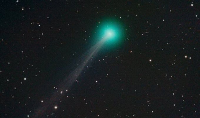 К Земле летит комета-лебедь (4 фото)