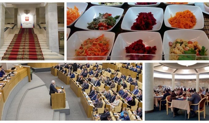 Не позавидуешь: на что жалуются депутаты Госдумы при зарплате почти в 500 тысяч рублей (5 фото + 1 видео)