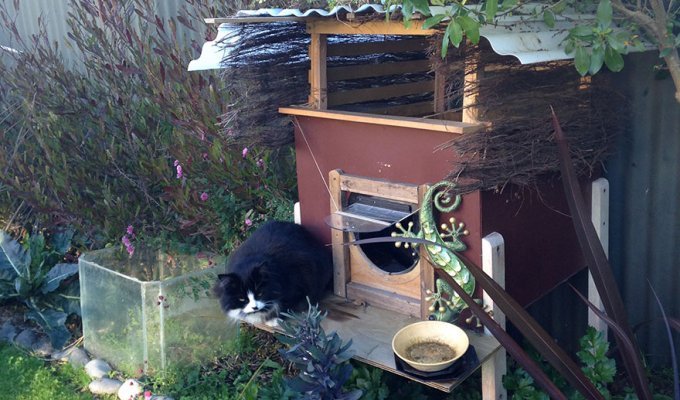 Хозяин сделал необычный домик для своего кота