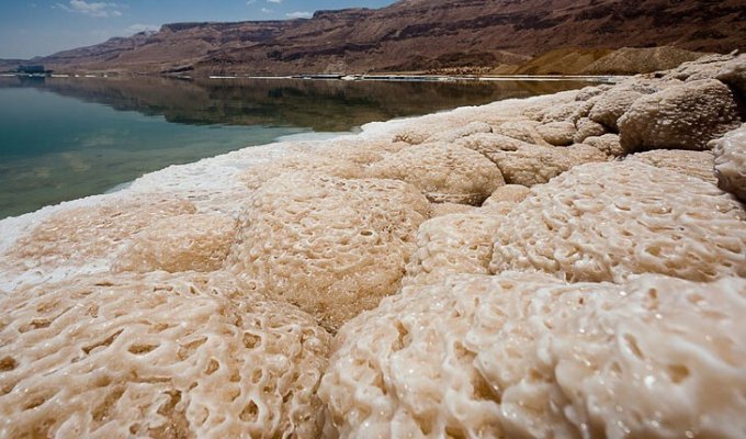 Мертвое море (39 фото)