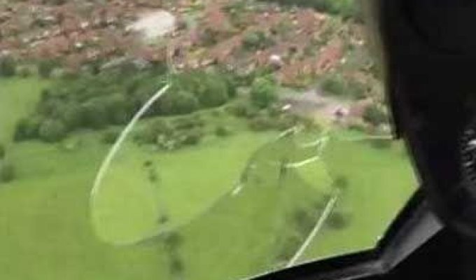 Чайка столкнулась с вертолетом, летевшим со скоростью 160 км/ч (6 фото)