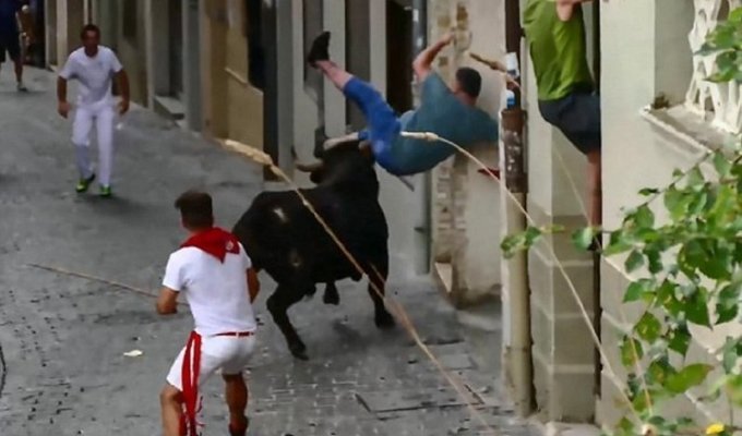 Зритель попал на рога во время забега быков (4 фото + 1 видео)