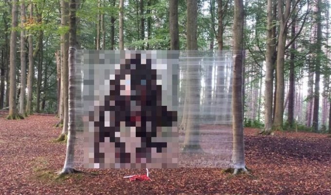 Пугающая инсталляция в парке (2 фото)