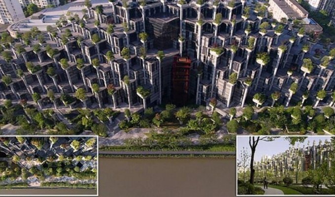 В Шанхае построили дом с 1000 деревьев на крыше (14 фото + 1 видео)