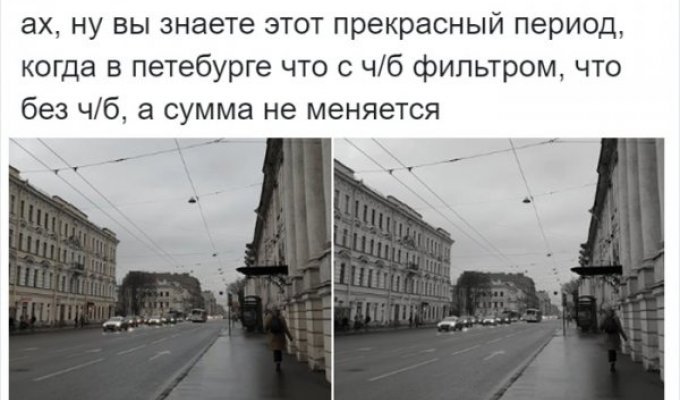 Пятьдесят отнеков серого: в Твиттере не могут найти разницу межу цветным и ч/б фото Петербурга (16 фото)
