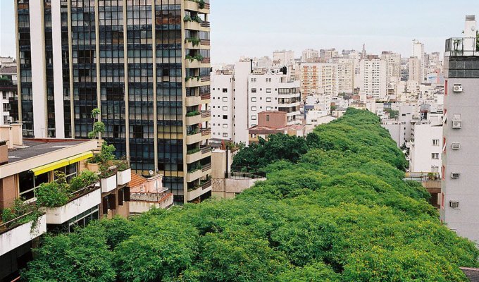Зеленая улица в Бразилии (7 фото)