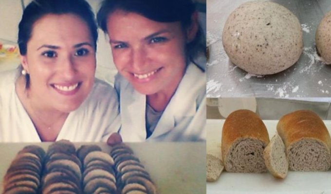В Бразилии начали печь хлеб из тараканов (3 фото)
