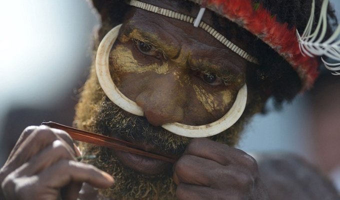 Копья, племенная музыка и футляры для гениталий: как прошел ежегодный фестиваль папуасов в Индонезии (32 фото)