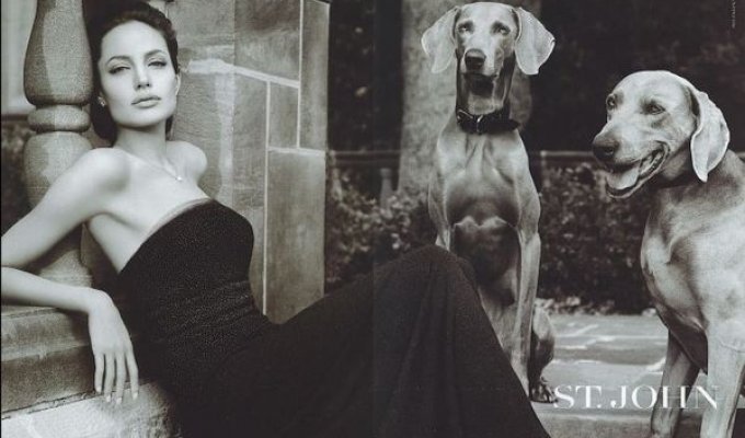 Angelina Jolie for St. John (4 фото)