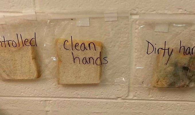 Отвратительно, но эффективно: Как научить детей мыть руки (2 фото)