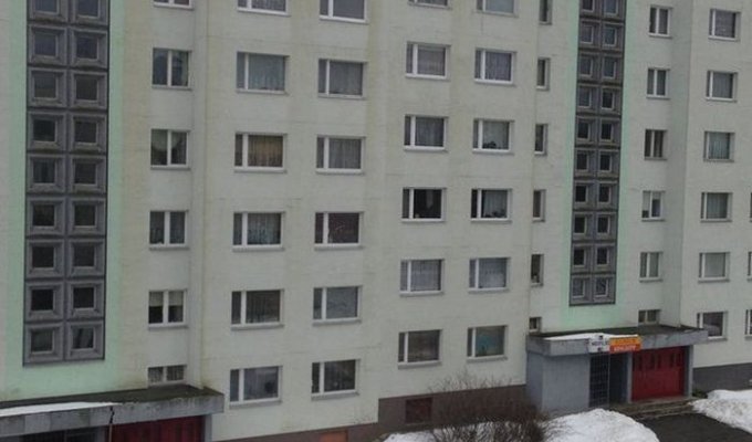 Полет пьяного шмеля с восьмого этажа (5 фото)