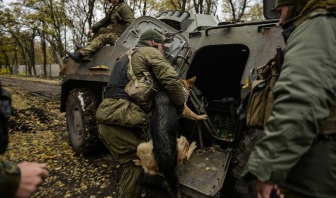 Фотографий с войны на востоке Украины 64 (100 фото)
