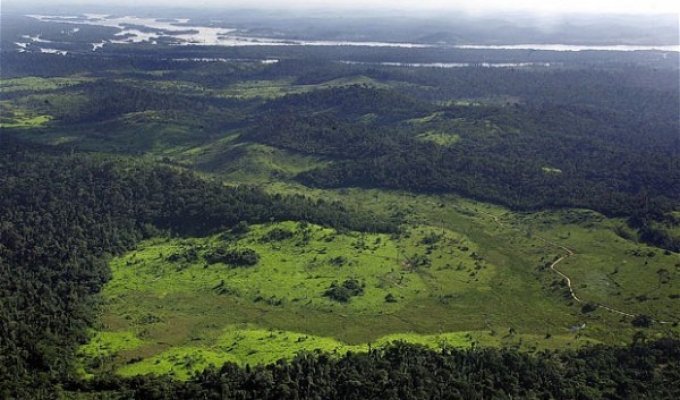 Вырубка леса на берегу Амазонки (13 фото)